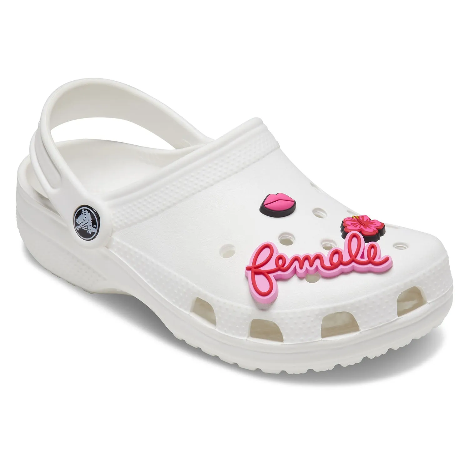 For Her 3 Jibbitz Pack 3 Jibbitz Pack