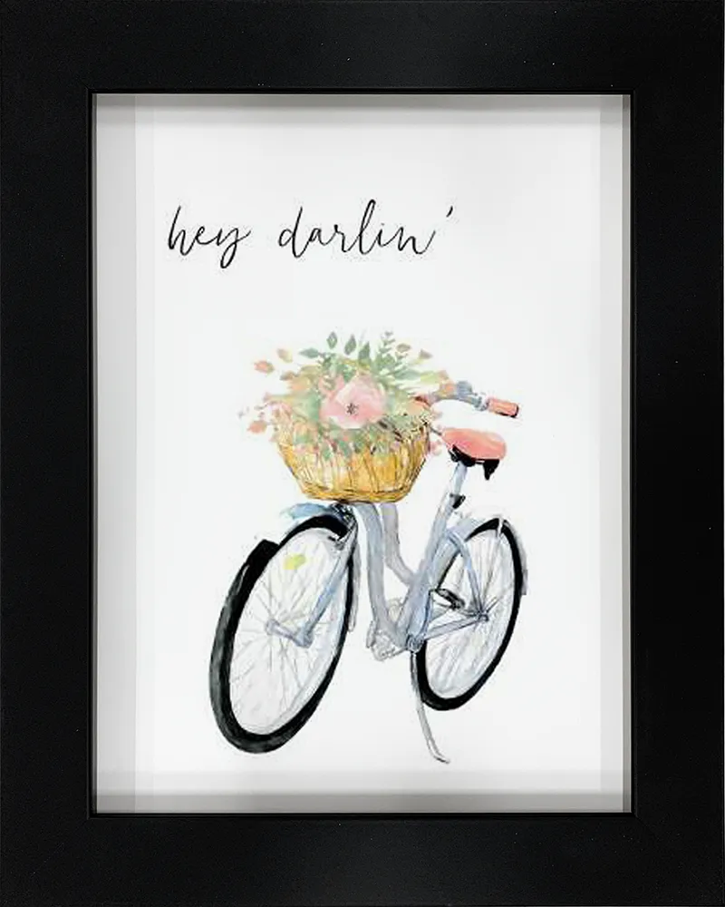 Hey Darlin Bicycle