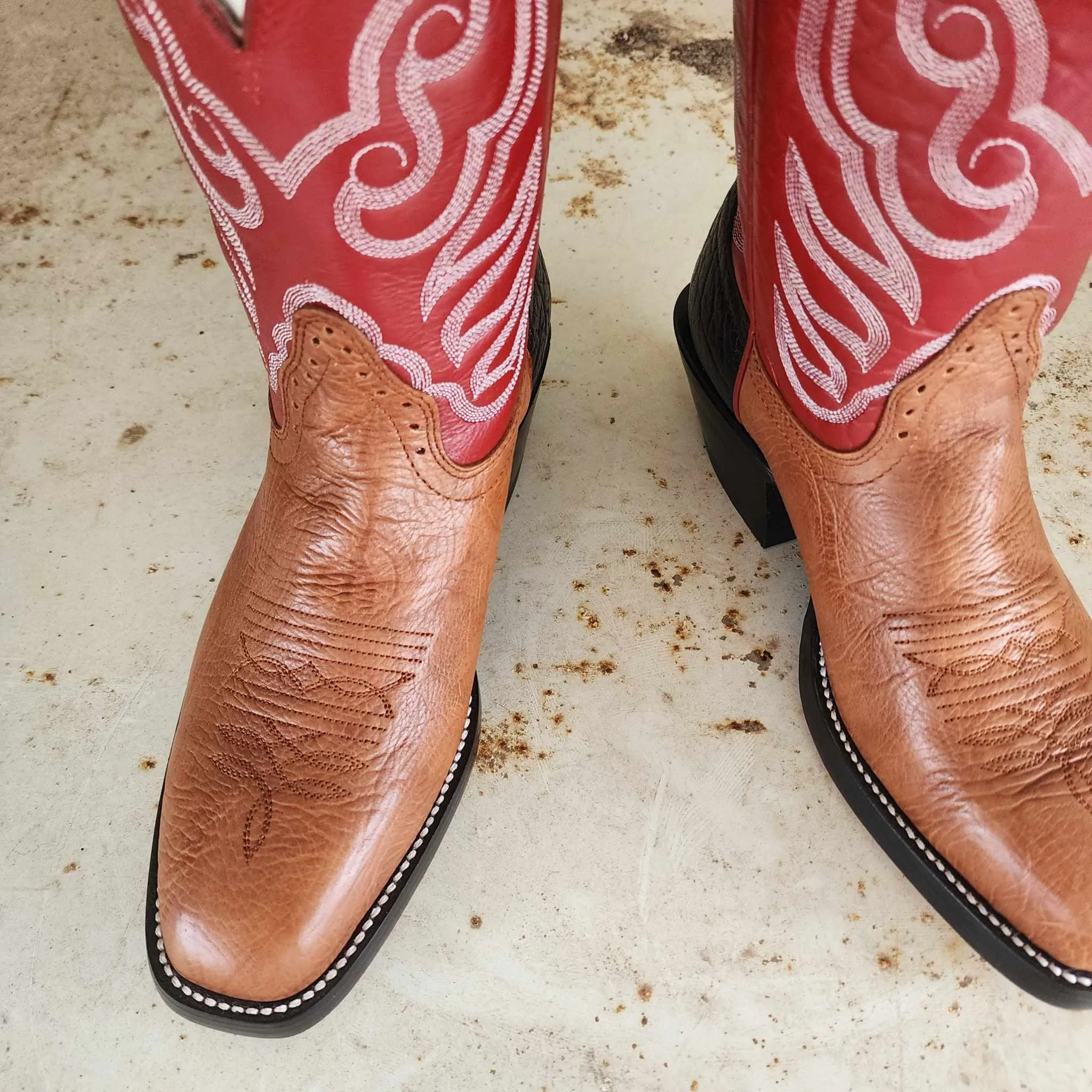 Hondo Picosa Creek Exclusive Walnut Spanish Shoulder w/Red Cow - The Roughstock Red Boot