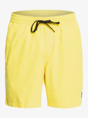 Quiksilver Mens Everyday 17" Volleys Shorts