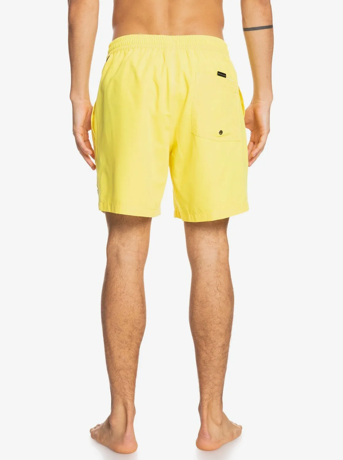 Quiksilver Mens Everyday 17" Volleys Shorts