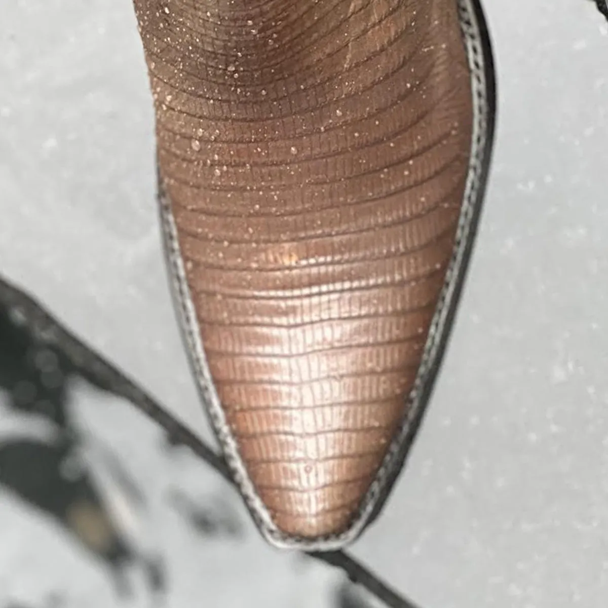 Taupe Teju Gallagos 10” Zorro